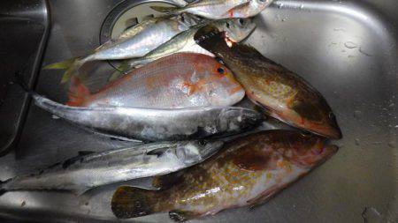 マイカヤック釣行　結構釣れました