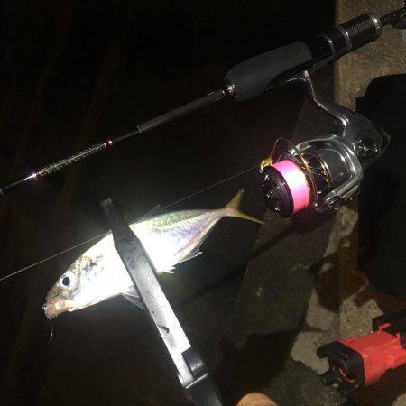 行けるうちに鱗付け‼️