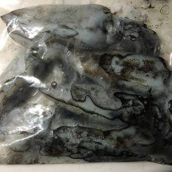 またまた中紀へ