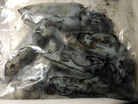 またまた中紀へ