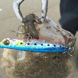 秋ヒラメ開幕へ