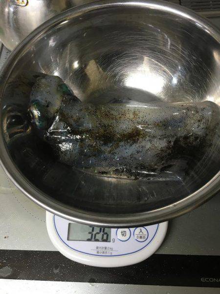 エギングバトル