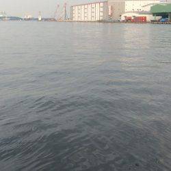 マイポイントで刀狩り