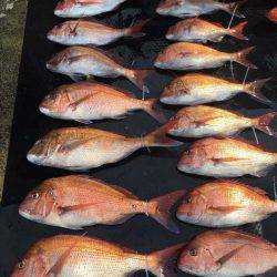 デカ オニカサゴ、真鯛、獲ったど〜