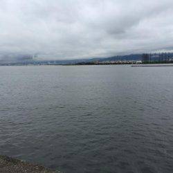 キビレ釣れました