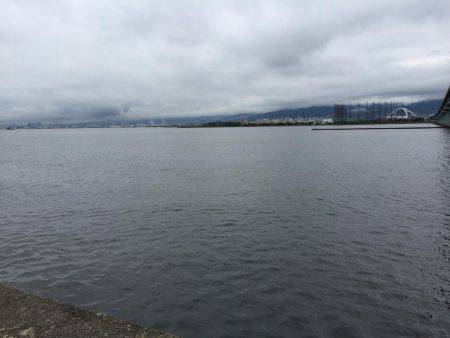 キビレ釣れました