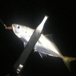 台風の影響は…