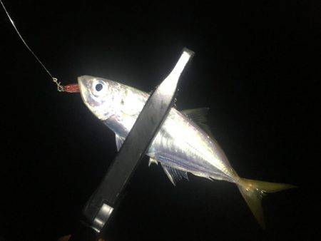 台風の影響は…