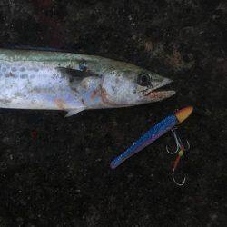 ワインドにて・・・