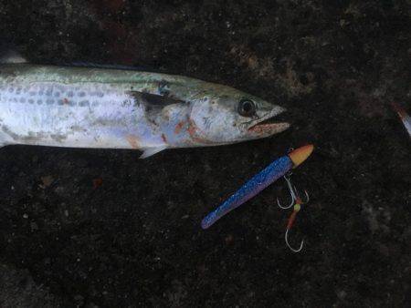 ワインドにて・・・