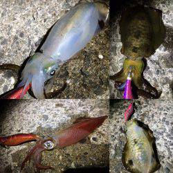 寝る前の短時間(笑)