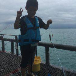 子供とサビキ釣り