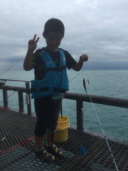 子供とサビキ釣り