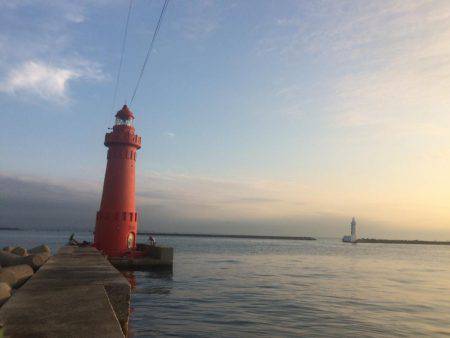 ポーアイ赤灯台でマアジとガシラ