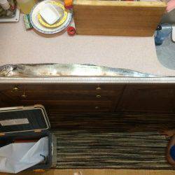 初メーターオーバー