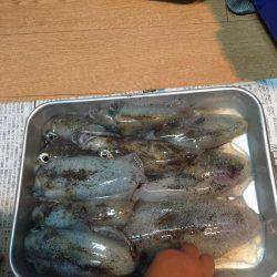 新子にしてはデカイ