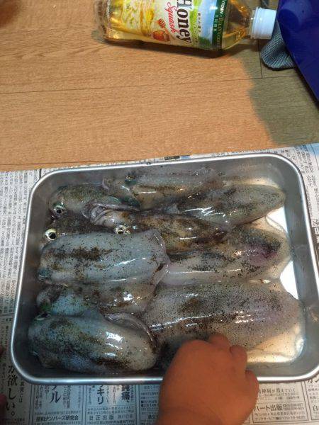 新子にしてはデカイ