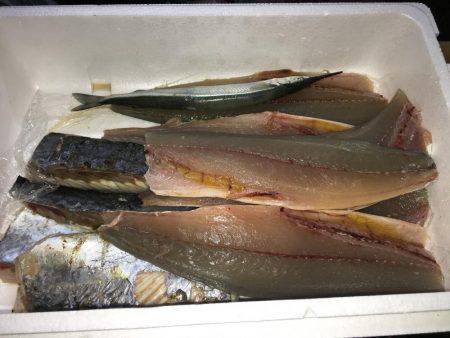 ナブラびっしり