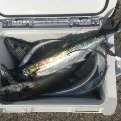 初ライトショアジギング‼️