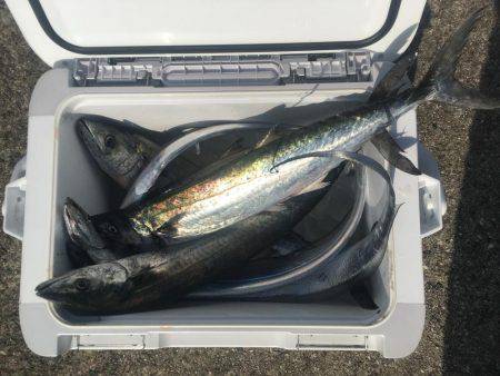 初ライトショアジギング‼️