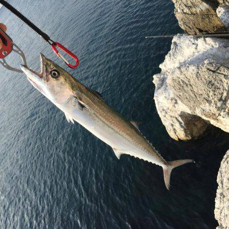 朝まずめと夕まずめ