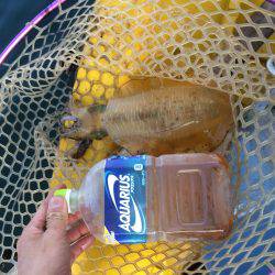 小浜の浜からボートエースにて笑