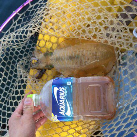 小浜の浜からボートエースにて笑