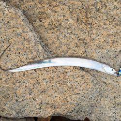 友人デビュー戦！