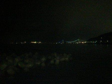 二兎を追うも追いきれず。