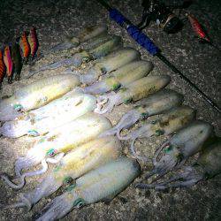 ちょいマシサイズ♬