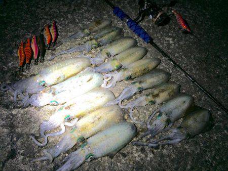 ちょいマシサイズ♬