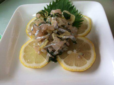 偶には海釣り公園で朝練