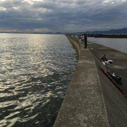 ショアジギング