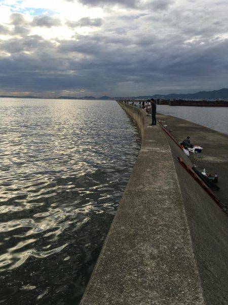 ショアジギング