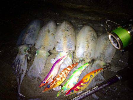 烏賊は何処へ・・・