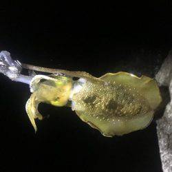 お腹いっぱい‼️