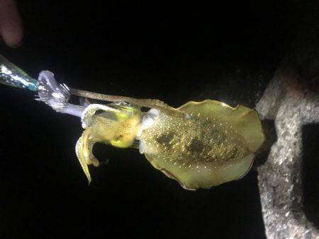 お腹いっぱい‼️