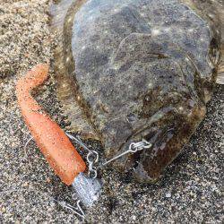 トルク波動で連発