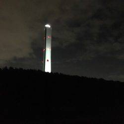 タチウオのはずが…