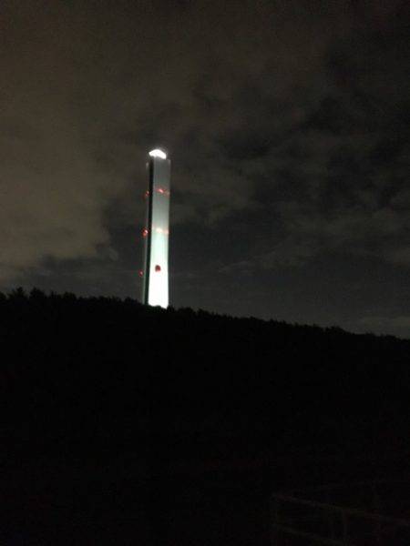 タチウオのはずが…