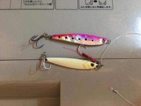 ひさしぶりの遠征