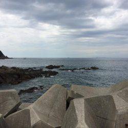 小さな高級魚 タカベ