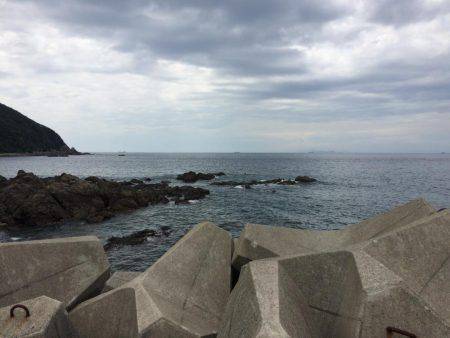 小さな高級魚 タカベ