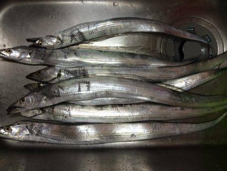 北港周辺で朝練