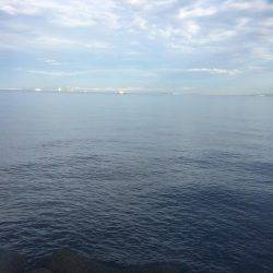 朝まずめ狙いでした