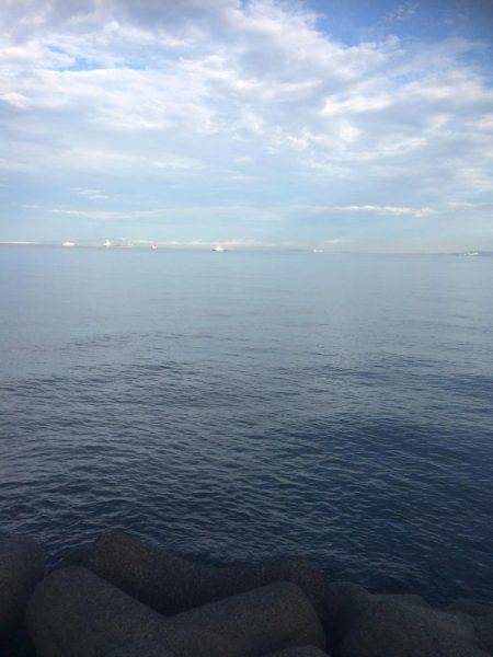 朝まずめ狙いでした