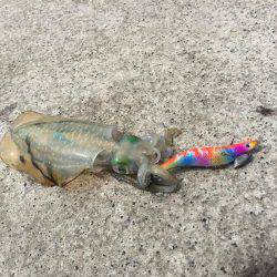 久しぶりの平日休み♪