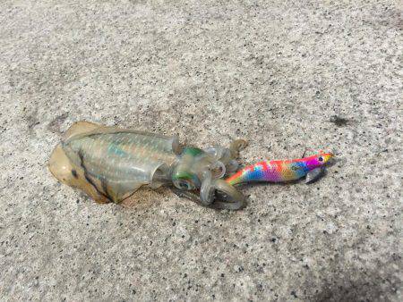 久しぶりの平日休み♪