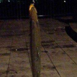 隠れてやがった!