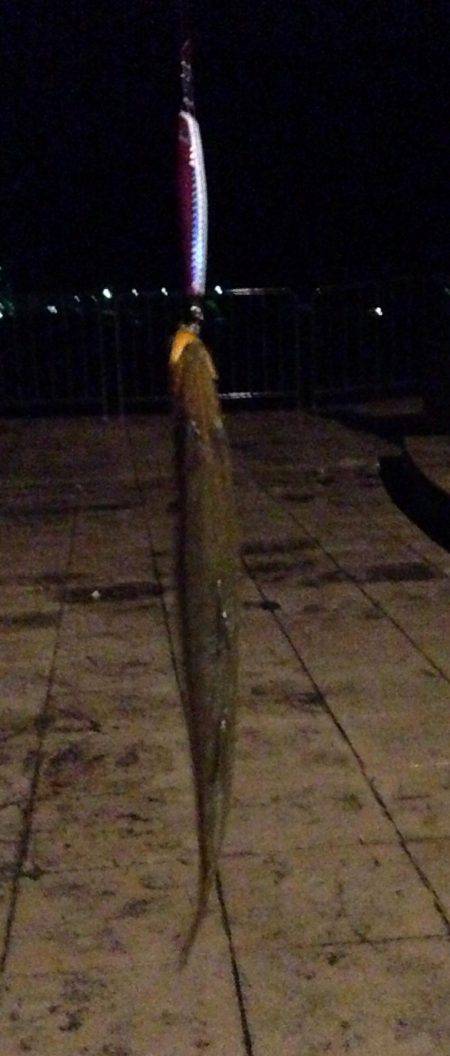 隠れてやがった!